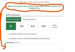 Virtual Example of Donation site